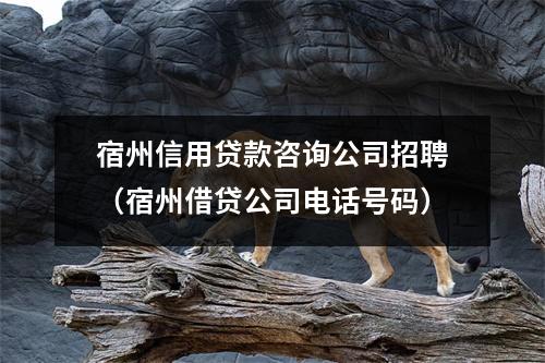宿州信用贷款咨询公司招聘（宿州借贷公司电话号码）