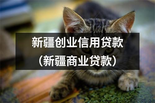 新疆创业信用贷款（新疆商业贷款）