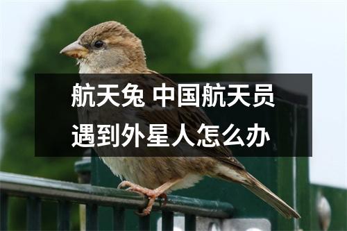 航天兔 中国航天员遇到外星人怎么办