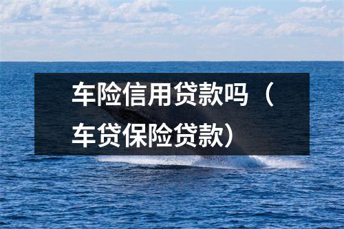 车险信用贷款吗（车贷保险贷款）