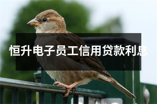 恒升电子员工信用贷款利息