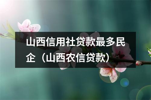 山西信用社贷款最多民企（山西农信贷款）