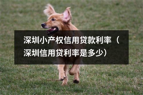 深圳小产权信用贷款利率（深圳信用贷利率是多少）