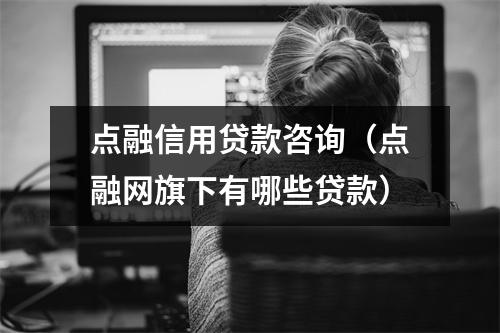 点融信用贷款咨询（点融网旗下有哪些贷款）