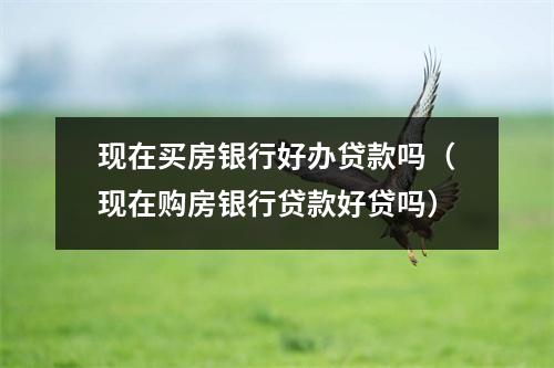 现在买房银行好办贷款吗（现在购房银行贷款好贷吗）