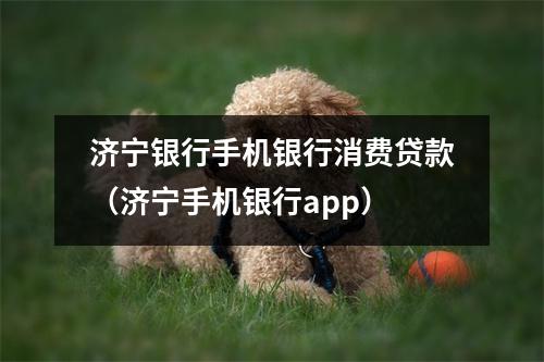 济宁银行手机银行消费贷款（济宁手机银行app）