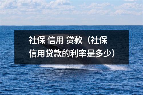 社保 信用 贷款（社保信用贷款的利率是多少）