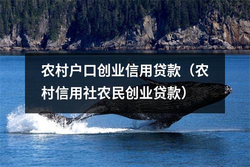 农村户口创业信用贷款(农村信用社农民创业贷款)