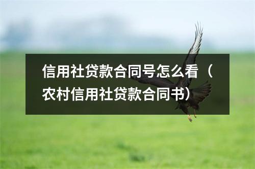 信用社贷款合同号怎么看（农村信用社贷款合同书）