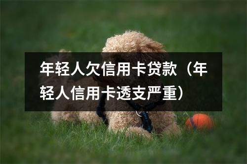 年轻人欠信用卡贷款（年轻人信用卡透支严重）