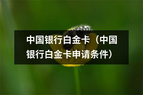 中国银行白金卡（中国银行白金卡申请条件）