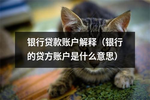 银行贷款账户解释（银行的贷方账户是什么意思）