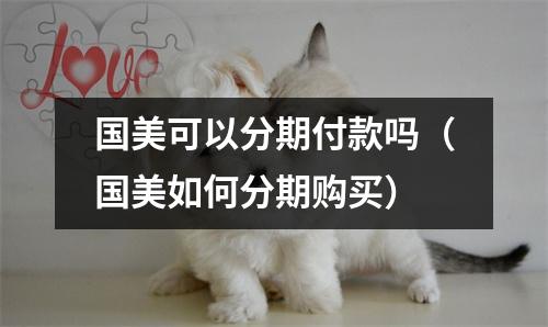 国美可以分期付款吗（国美如何分期购买）