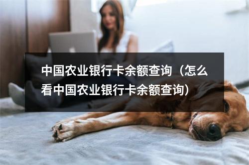中国农业银行卡余额查询（怎么看中国农业银行卡余额查询）