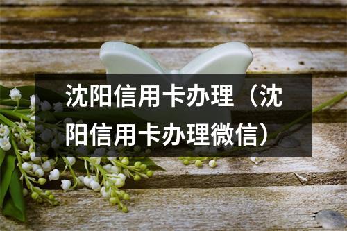 沈阳信用卡办理(沈阳信用卡办理微信)