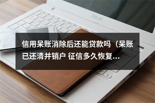 信用呆账消除后还能贷款吗（呆账已还清并销户 征信多久恢复）