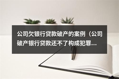 公司欠银行贷款破产的案例（公司破产银行贷款还不了构成犯罪吗）