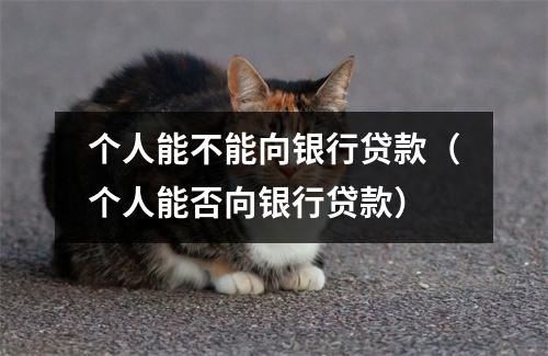 个人能不能向银行贷款（个人能否向银行贷款）