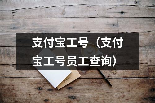 支付宝工号（支付宝工号员工查询）