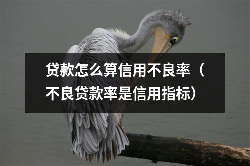 贷款怎么算信用不良率(不良贷款率是信用指标)