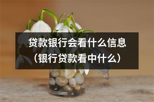 贷款银行会看什么信息（银行贷款看中什么）