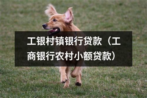 工银村镇银行贷款（工商银行农村小额贷款）
