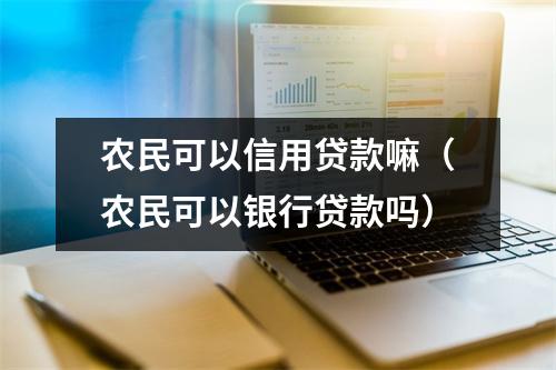 农民可以信用贷款嘛（农民可以银行贷款吗）