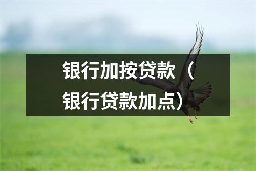 银行加按贷款（银行贷款加点）