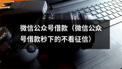微信公众号借款（微信公众号借款秒下的不看征信）