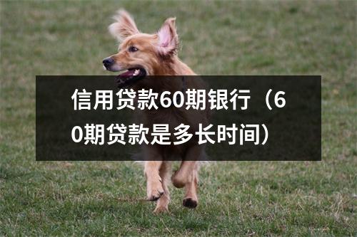 信用贷款60期银行（60期贷款是多长时间）