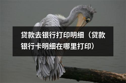 贷款去银行打印明细（贷款银行卡明细在哪里打印）