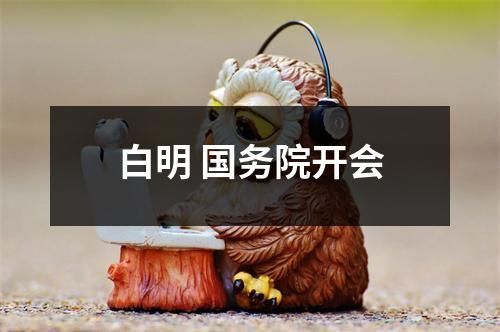 白明 国务院开会