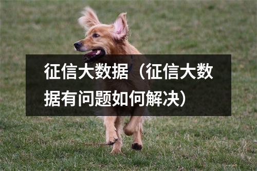 征信大数据（征信大数据有问题如何解决）