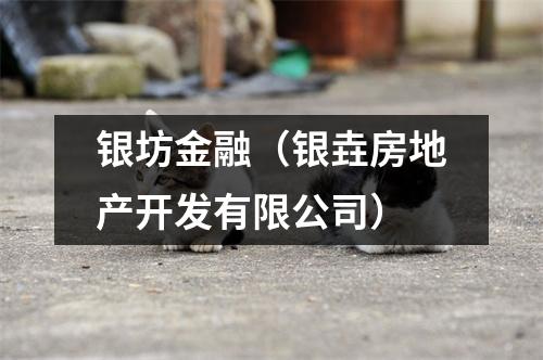 银坊金融（银垚房地产开发有限公司）