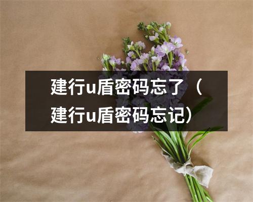 建行u盾密码忘了（建行u盾密码忘记）
