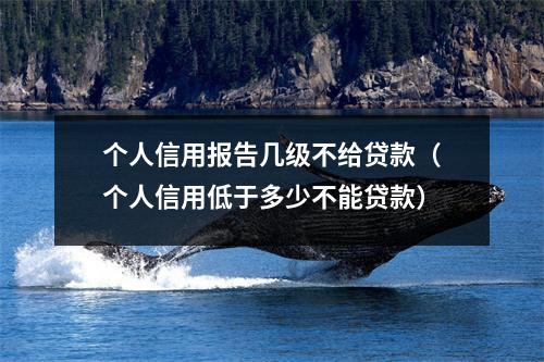 个人信用报告几级不给贷款（个人信用低于多少不能贷款）