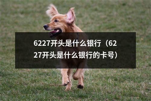 6227开头是什么银行（6227开头是什么银行的卡号）