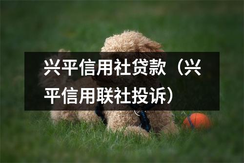 兴平信用社贷款（兴平信用联社投诉）