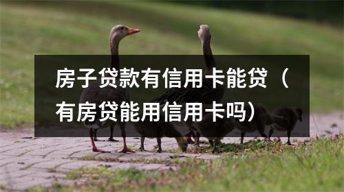 房子贷款有信用卡能贷(有房贷能用信用卡吗)