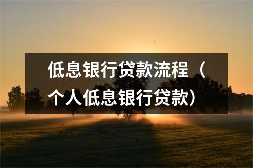 低息银行贷款流程（个人低息银行贷款）