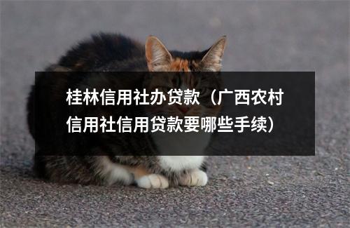 桂林信用社办贷款（广西农村信用社信用贷款要哪些手续）