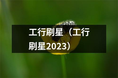 工行刷星（工行刷星2023）