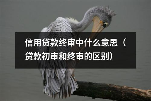 信用贷款终审中什么意思(贷款初审和终审的区别)