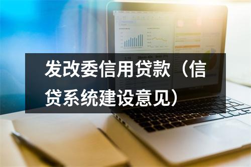 发改委信用贷款（信贷系统建设意见）