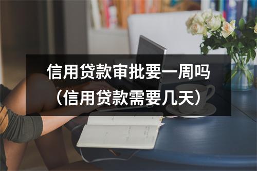 信用贷款审批要一周吗（信用贷款需要几天）