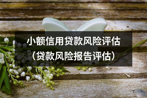 小额信用贷款风险评估（贷款风险报告评估）