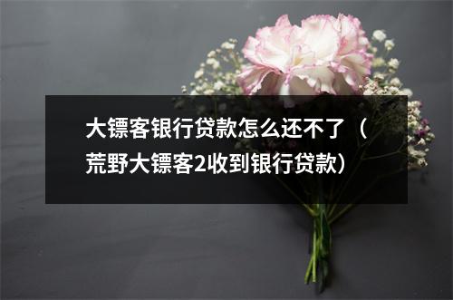 大镖客银行贷款怎么还不了（荒野大镖客2收到银行贷款）