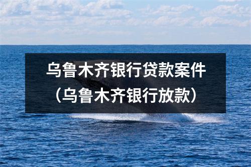乌鲁木齐银行贷款案件（乌鲁木齐银行放款）
