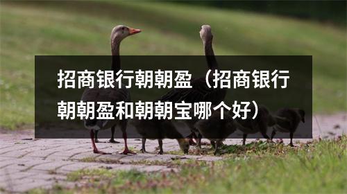 招商银行朝朝盈（招商银行朝朝盈和朝朝宝哪个好）