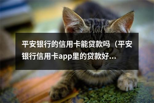 平安银行的信用卡能贷款吗（平安银行信用卡app里的贷款好办吗）